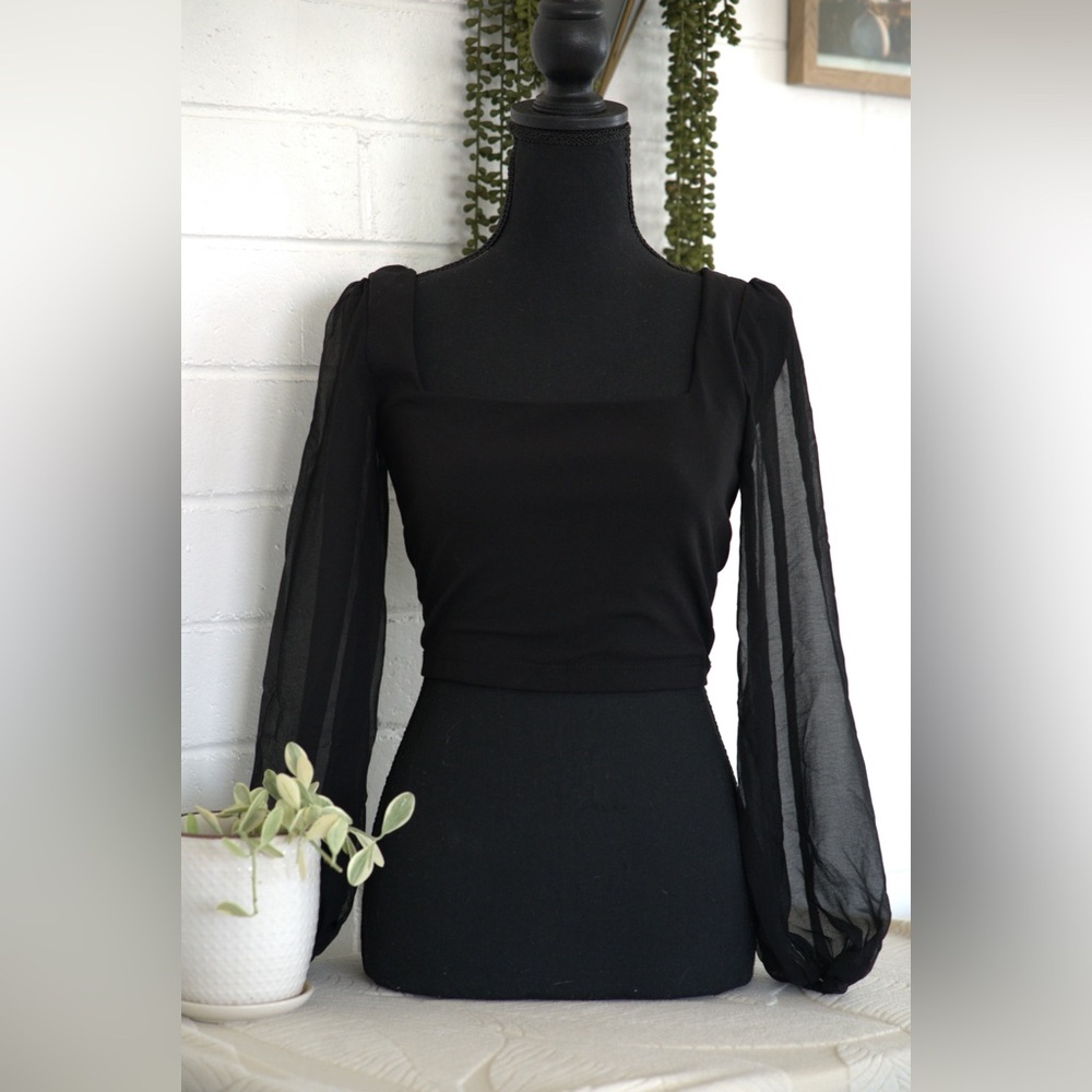 Elegant Black Sheer Sleeve Top